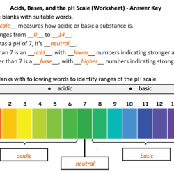 Acids bases & ph worksheet answers