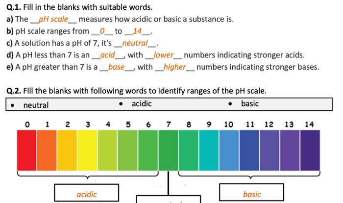 Acids bases & ph worksheet answers