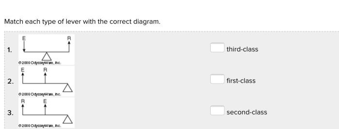 Essay match each type prompt its related narrative