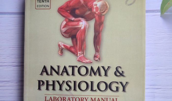 Human anatomy and physiology lab manual 11th edition