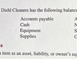 Diehl cleaners has the following balance sheet items