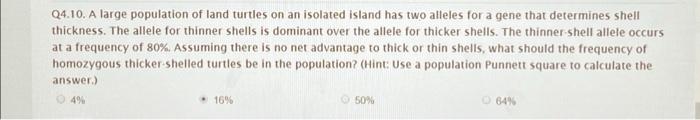 A large population of land turtles on an isolated island