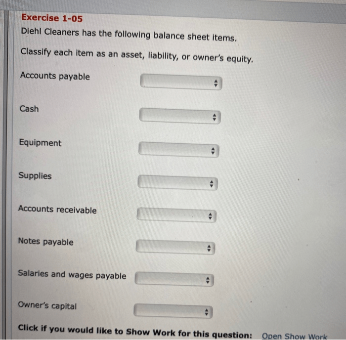 Diehl cleaners has the following balance sheet items