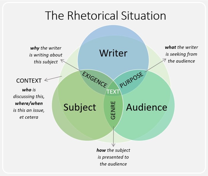 E.6 analyze rhetorical strategies in historical texts: set 2